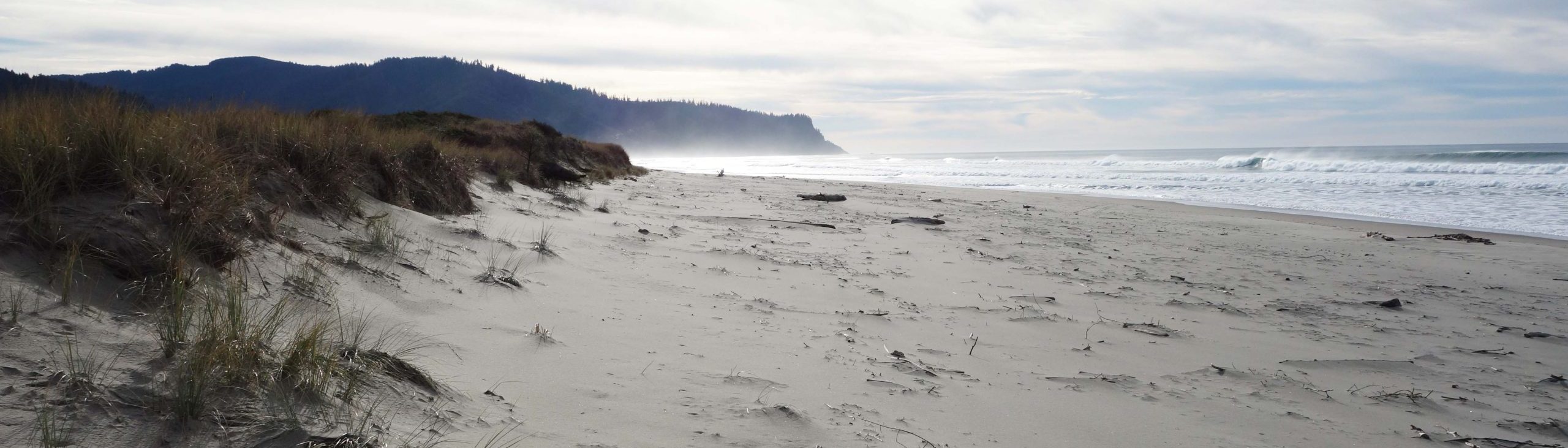 Private Beach Access on the Oregon Coast